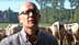 A man wearing glasses and a checked shirt standing in front of a herd of cattle in a field. - Olive Oil Times