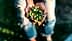 Person holding a collection of freshly harvested green and black olives in their hands. - Olive Oil Times