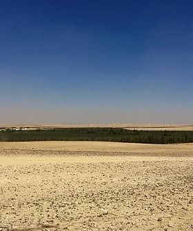 A green area of trees surrounded by a barren desert landscape under a clear blue sky. - Olive Oil Times