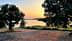 An olive grove at sunset in Albania