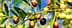 A close-up of an olive branch featuring green, yellow, and purple olives against a blue sky. - Olive Oil Times