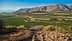 Vineyard fields with a mountain backdrop under a clear blue sky. - Olive Oil Times